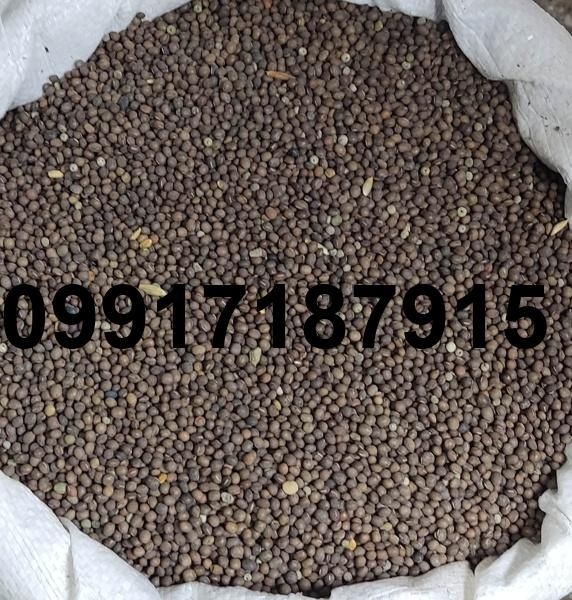 قیمت هر کیلو قره ماش_6