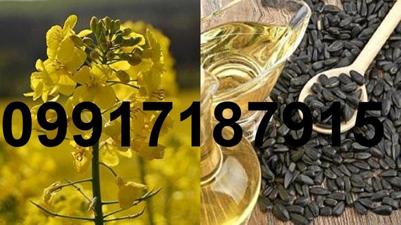 قیمت کلزا امسال_10