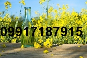 قیمت کلزا دامی_3
