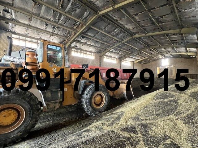 قیمت کلزا در خوزستان امروز_5
