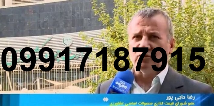 قیمت کلزا در سال 1404_4